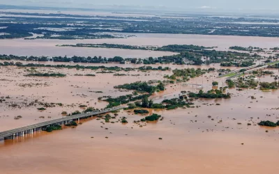 Ajude o Rio Grande do Sul! 